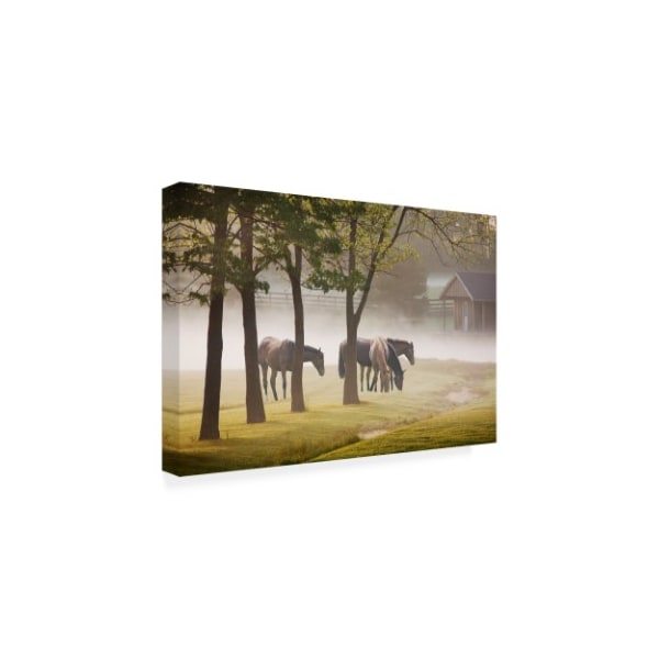 Monte Nagler 'Horses In The Mist Kentucky Color' Canvas Art,30x47